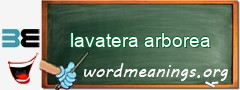 WordMeaning blackboard for lavatera arborea